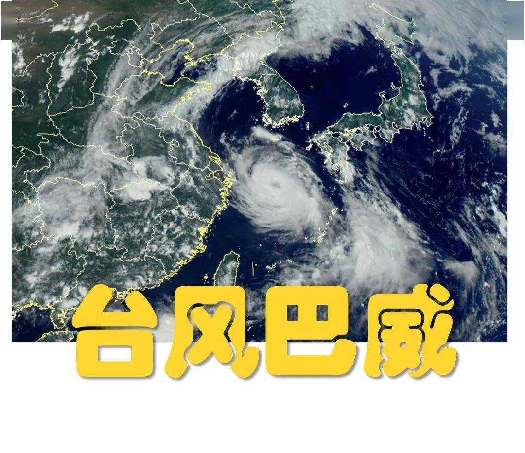 巴威台风最新动态，影响及应对措施全面解析