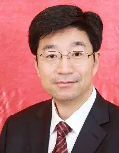 张晶莹履新职位，探索未知领域，展现卓越领导力