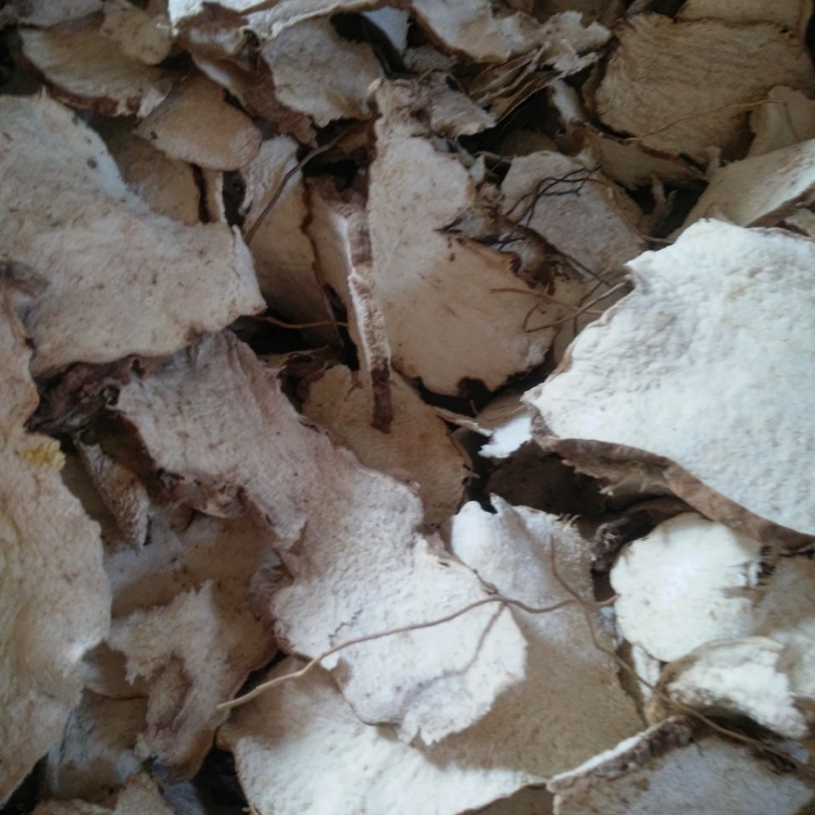 绵萆薢最新价格动态分析与市场行情概述