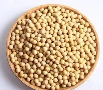 大豆价格最新信息及影响因素深度解析