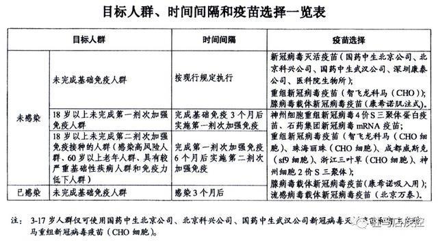 石药最新动态，引领行业前沿，持续推动医药创新