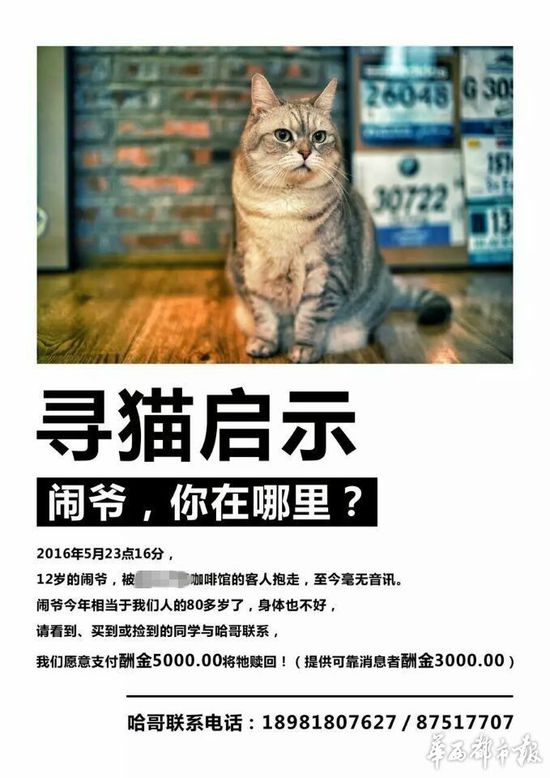 admin 第728页