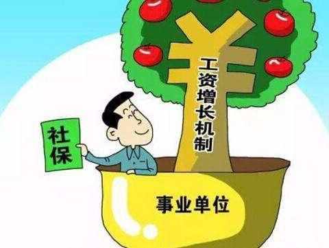 最新工资待遇概览与概述