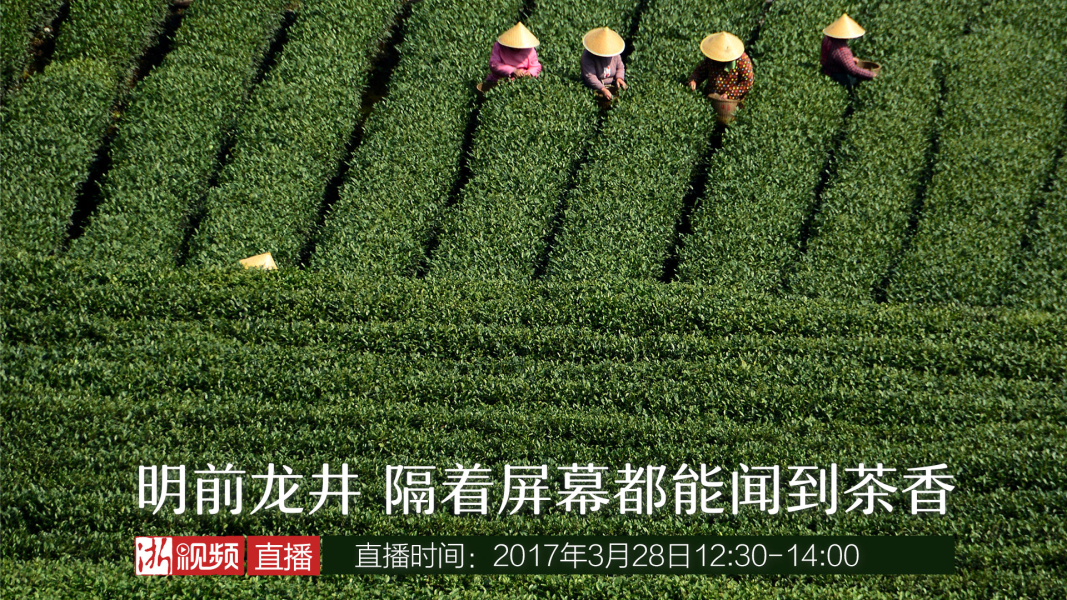 admin 第410页