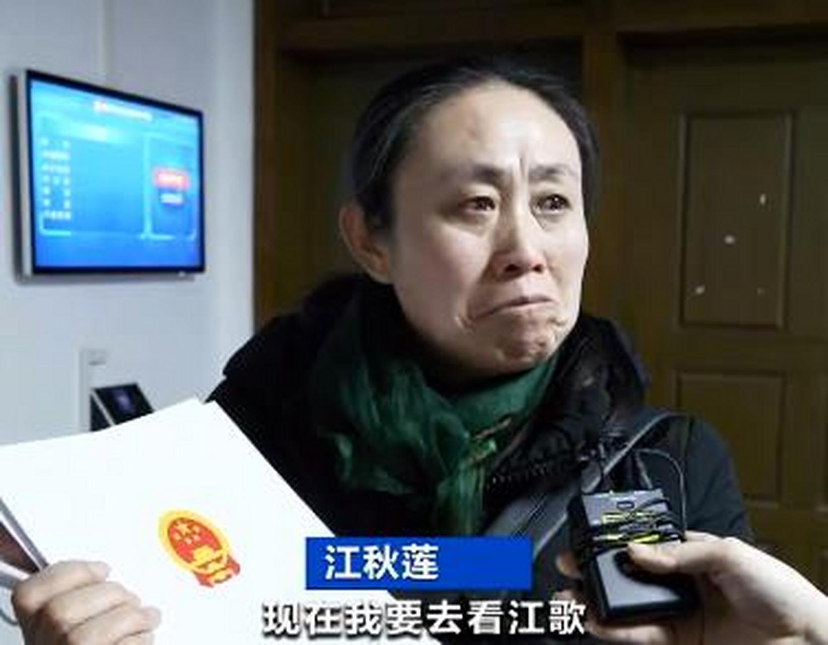 江歌案最新进展深度解析，案件动态与各方反应报道