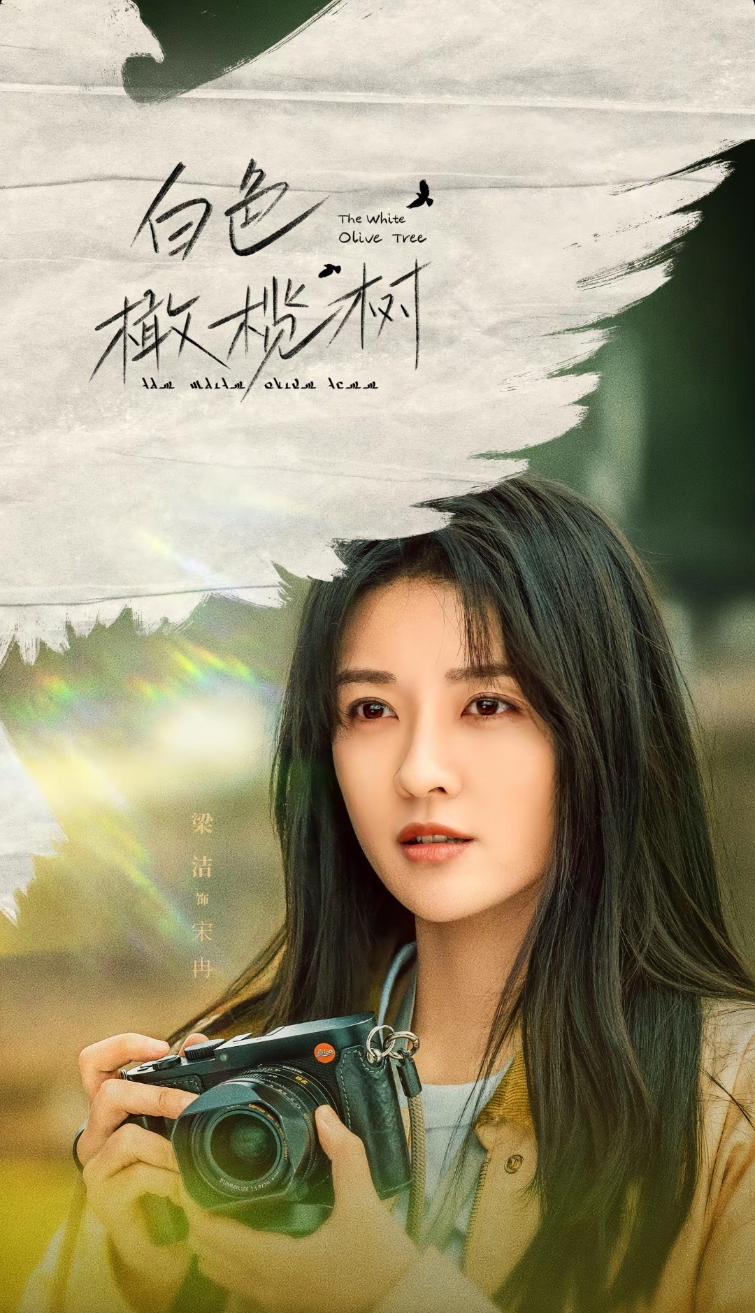 最新生态与文化的融合之美，白色橄榄树的魅力