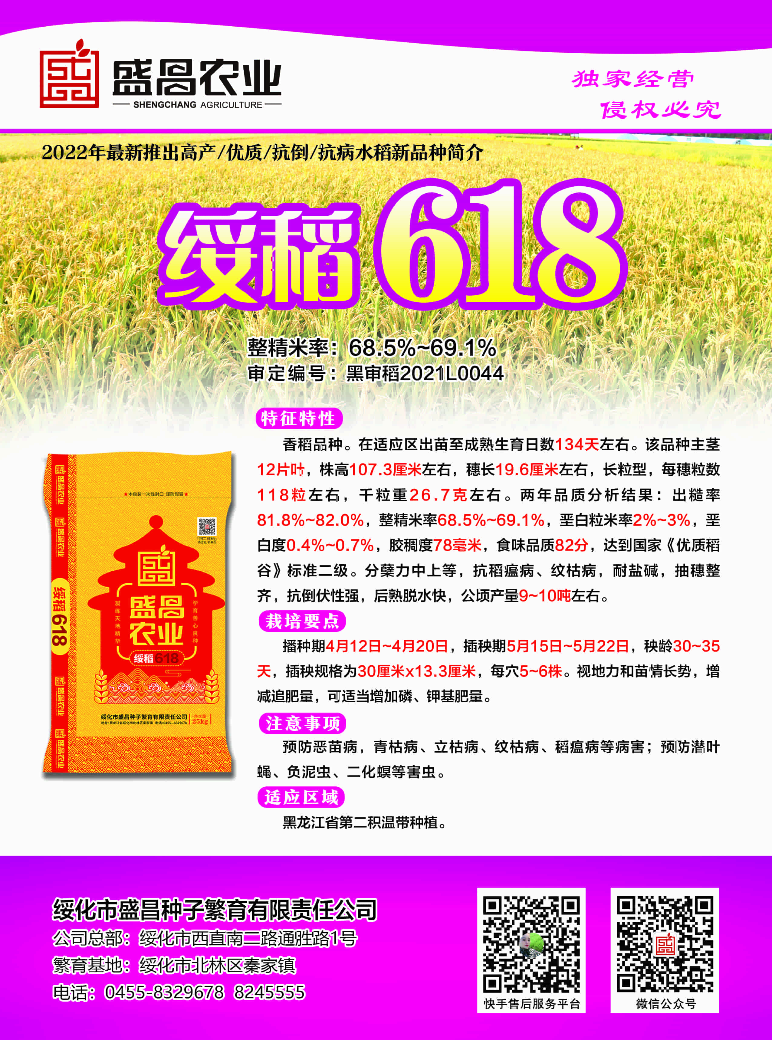 绥稻引领农业创新，塑造美好未来，最新消息揭秘