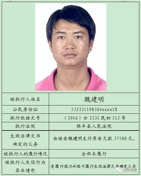楚雄市最新失信人员名单及其社会影响分析