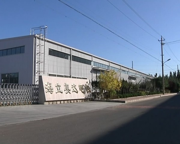 海立公司最新动态进展报告及消息速递