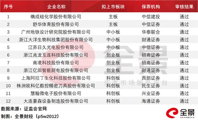 创业板最新申报公司探索与前景展望，未来展望与深度分析