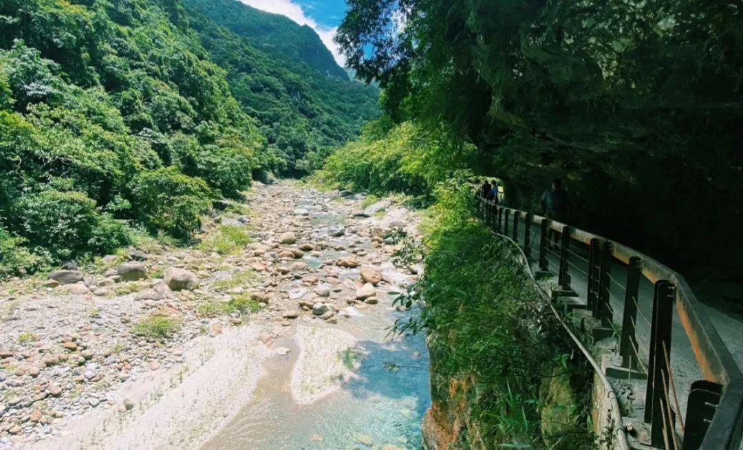 台湾最新动态解析，时事新闻全面解读